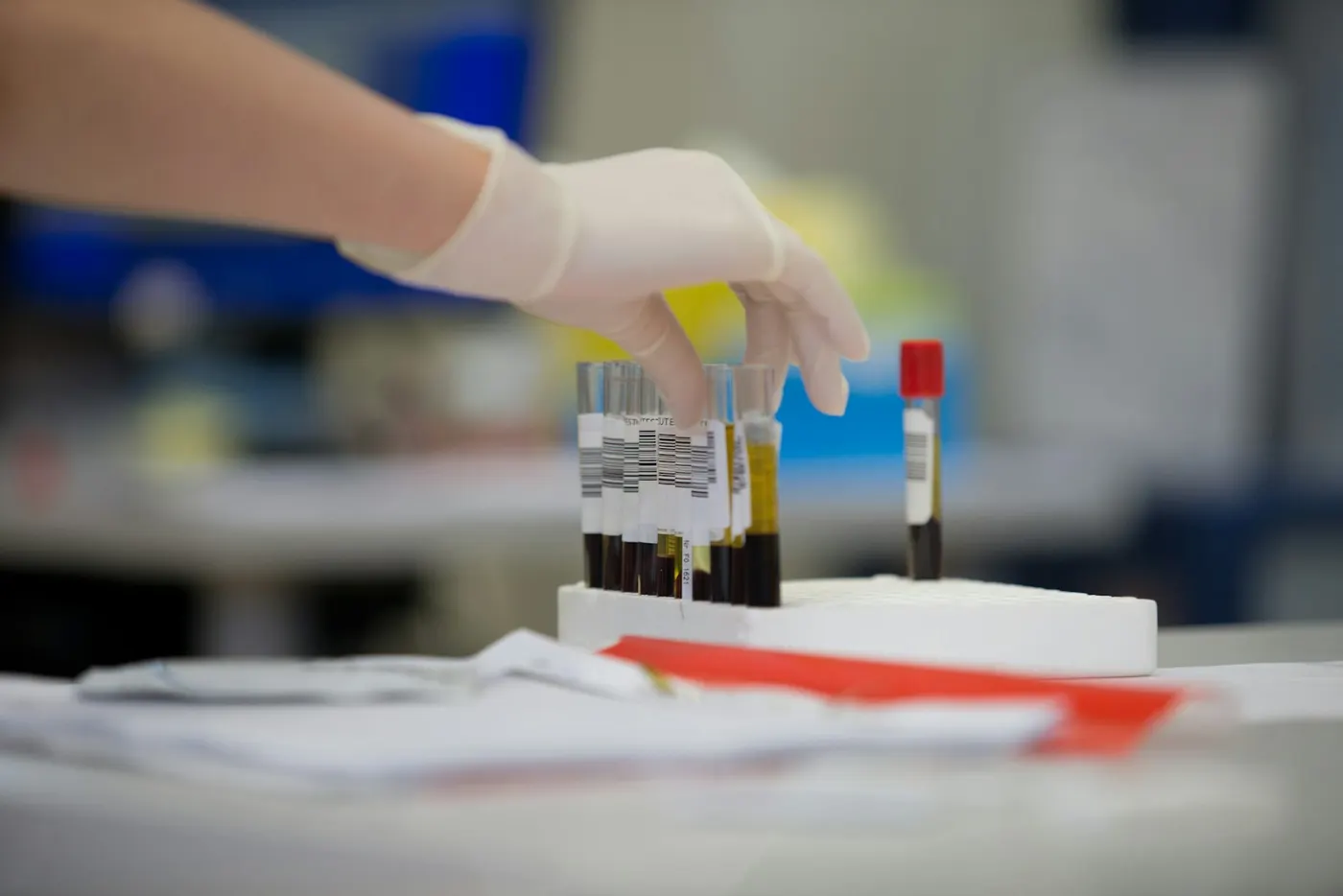 Vérminták a laboratóriumban