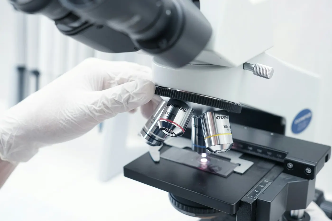 Minta vizsgálata mikroszkóppal a laboratóriumban